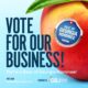 Best of Georgia Voting