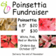 Poinsettia Fundraiser